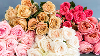 Graduation Flowers